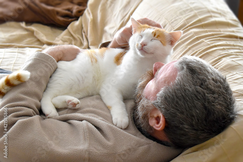 Photography Cat laying on owner's chest