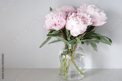 pink white peonies in vase. Minimalism in the interior. Isolated.