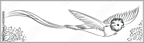 Black and white bird, line, quetzal, exotic bird, animal, cute carton.