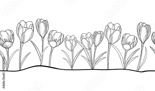 Horizontal seamless pattern with outline crocus or saffron flower and leaves in black on the white background.