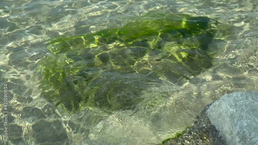 Big stones in sea. Mediterranean sea. Sea waves wash over a large rock with seaweed. Calm, clear water surface. A warm day in February in Israel. Big stones in sea. Mediterranean sea. Sea waves wash over a large rock with seaweed. Calm, clear water surface. A warm day in February in Israel.