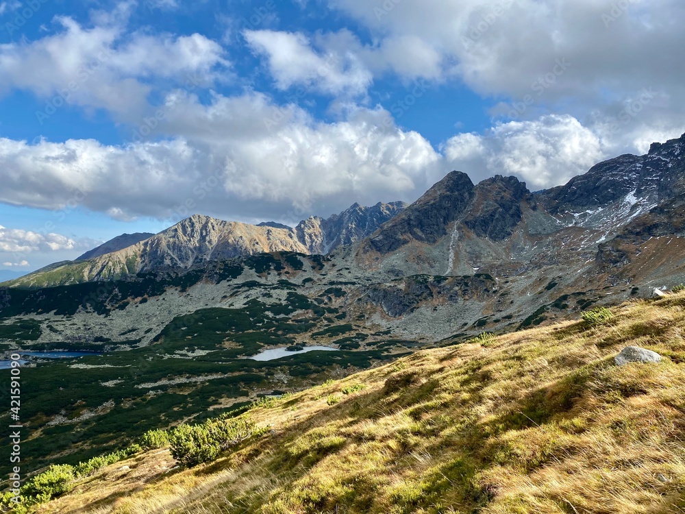 Naklejka premium landscape in the mountains