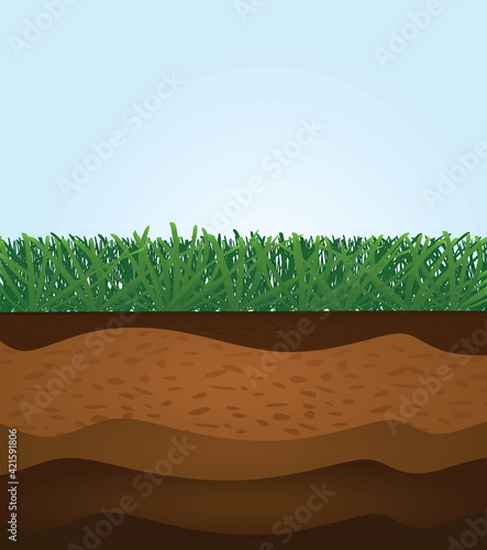 Grass soil layers. vector illustration