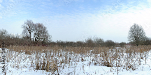 Wallpaper Mural Spring walk through the forest, beautiful panorama. Torontodigital.ca