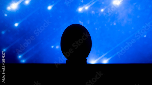 Silet, egg oval, on a blue background. A place for text. Unusual egg photo