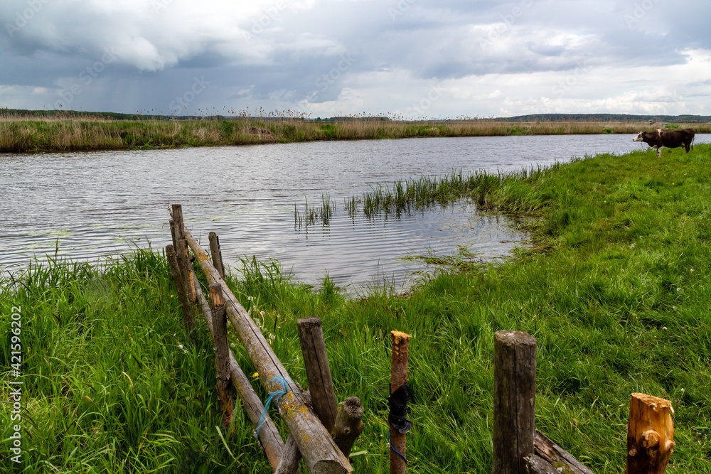 Wiosna w dolinie Narwi, Podlasie, Polska