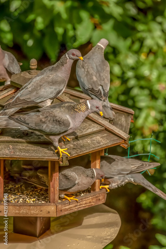 Canvas Print Issaquah, Washington State, USA