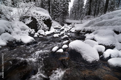 Flowing Winter Creek