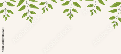 Floral web banner with drawn color exotic monstera leaves. Nature concept design. Modern floral compositions with summer branches. Vector illustration on the theme of ecology, natura, environment