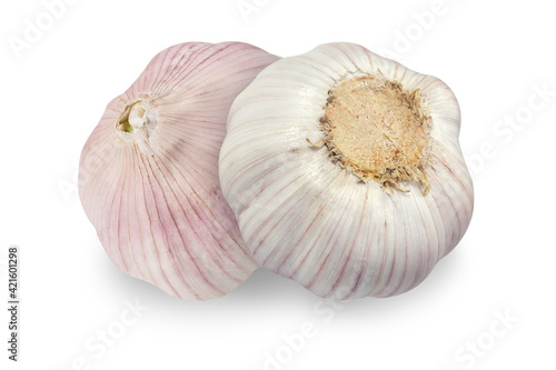 Garlic on an isolated white background. Fresh garlic