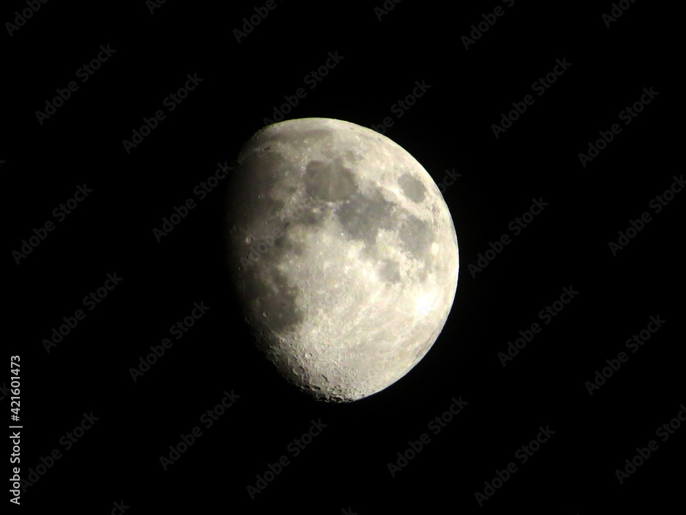 Moon Moon