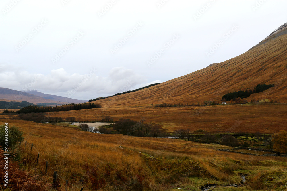 The autumn landscape of the Scottish Highlands