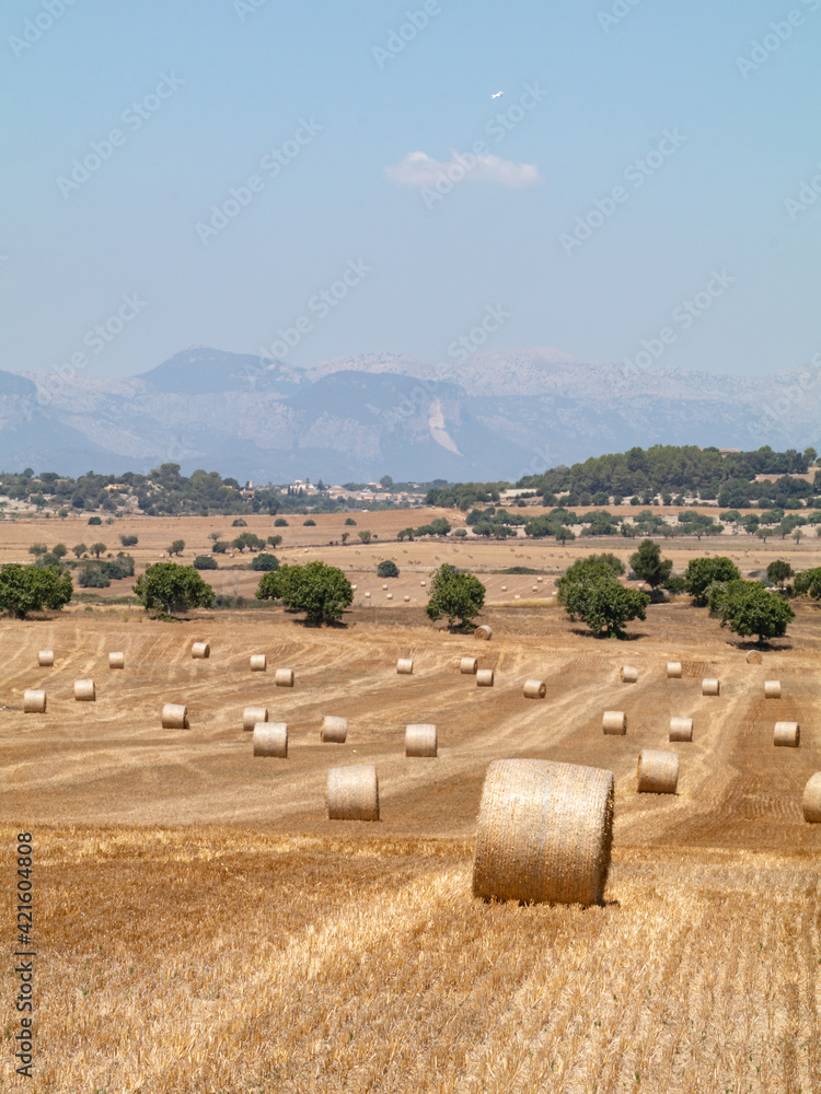 Views from Mallorca Sapin Views from Mallorca Sapin