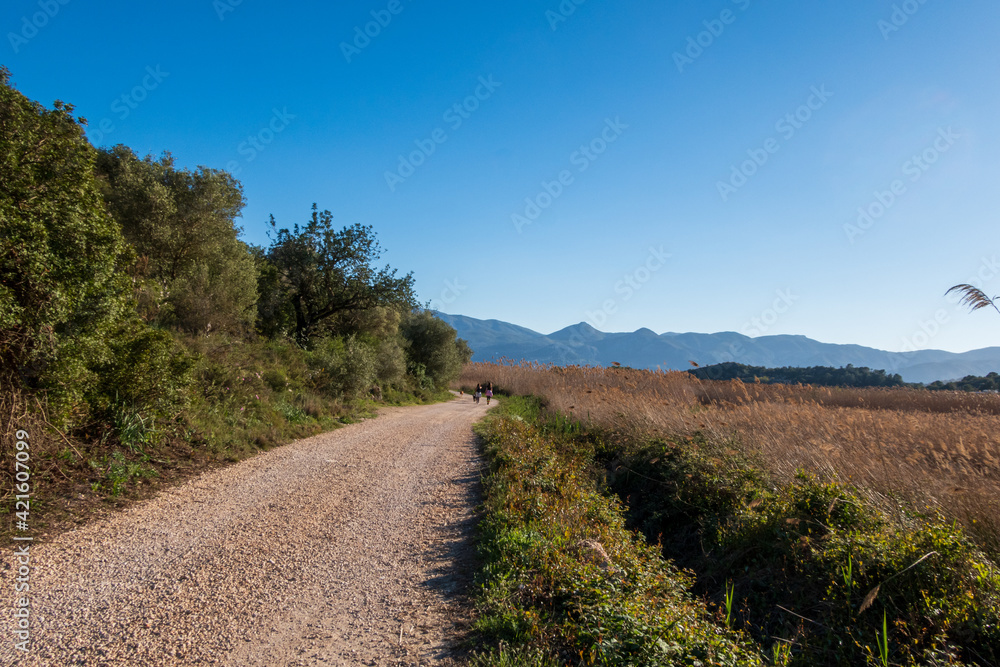 Some people walking by a rural road in the Pego - Oliva marsh, with strong sunlight, and a clear sky.