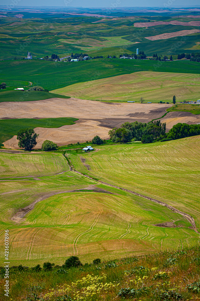 Palouse, Washington State, USA, Barns, farms, patterns, patchwork, Palouse Palouse, Washington State, USA, Barns, farms, patterns, patchwork, Palouse