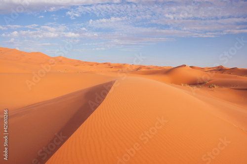 Desierto del Sahara en la zona frontera entre Marruecos y Argelia