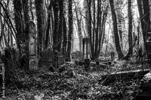 Fototapeta Naklejka Na Ścianę i Meble -  Cmentarz żydowski