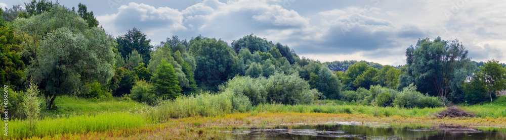 Forest with green trees and bushes by the river in summer, panorama Forest with green trees and bushes by the river in summer, panorama