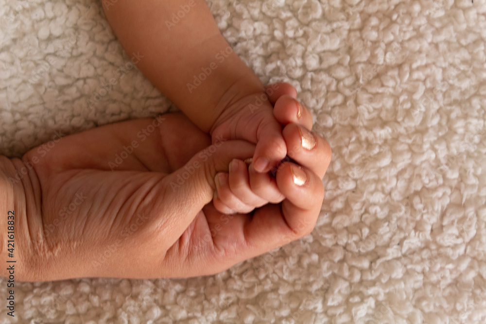 parents hands holding their baby's hand parents hands holding their baby's hand