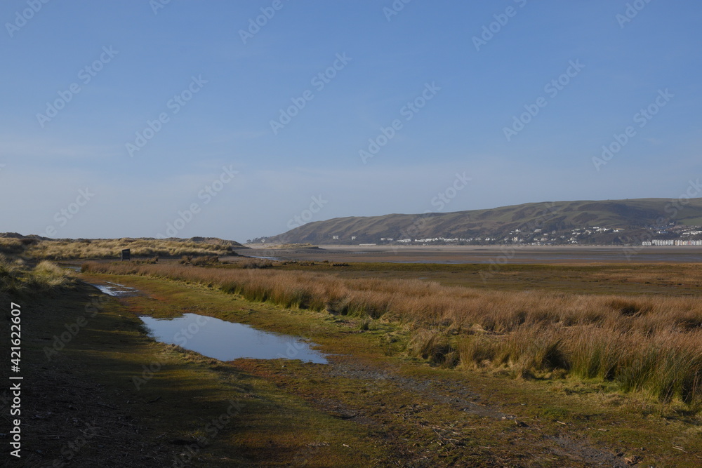 the grasslands of a nature reserve at the end of an estuary with a small flooded track that goes though it for ranger to keep the land preserved the grasslands of a nature reserve at the end of an estuary with a small flooded track that goes though it for ranger to keep the land preserved