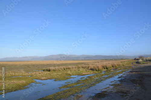the grasslands of a nature reserve at the end of an estuary with a small flooded track that goes though it for ranger to keep the land preserved 