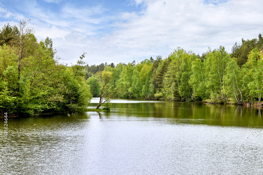 Landschaftspanorama am bewaldeten See Landschaftspanorama am bewaldeten See