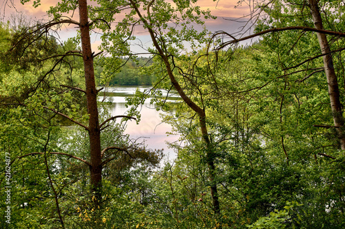 Blick durch Bäume am Seeufer mit Abendhimmel © reimax16
