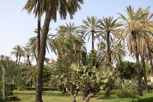 Park in the city of Palermo, Sicily Italy