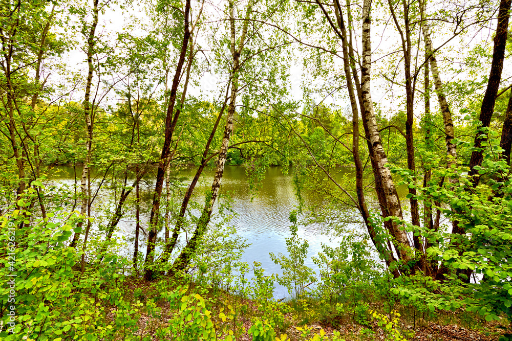 Landschaftsidylle am Seeufer mit Birken und Wasserspiegelung Landschaftsidylle am Seeufer mit Birken und Wasserspiegelung