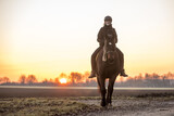 Reiterin mit Pferd im Sonnenaufgang