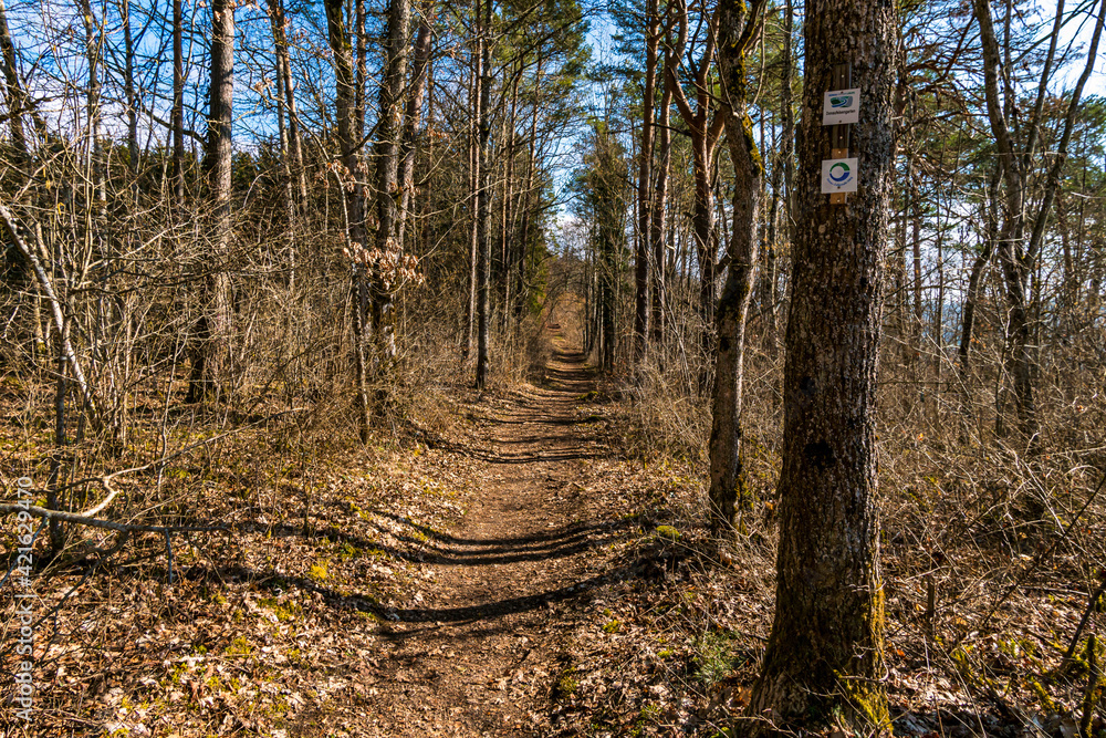 Obraz premium Spring hike in the Danube Valley near Sigmaringen