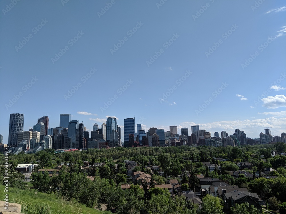 Fototapeta premium city skyline