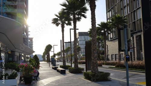 beautiful view of the park and the road with palm trees and small shops on a bright summer day photo