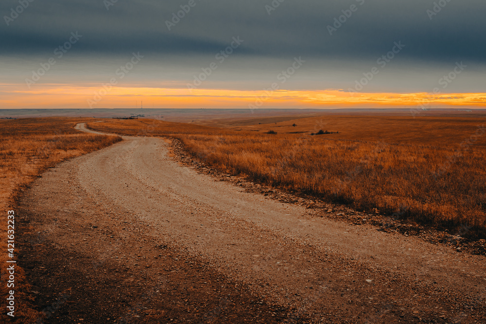 Empty dirt road in the prairie leading into the the horizon during sunset
