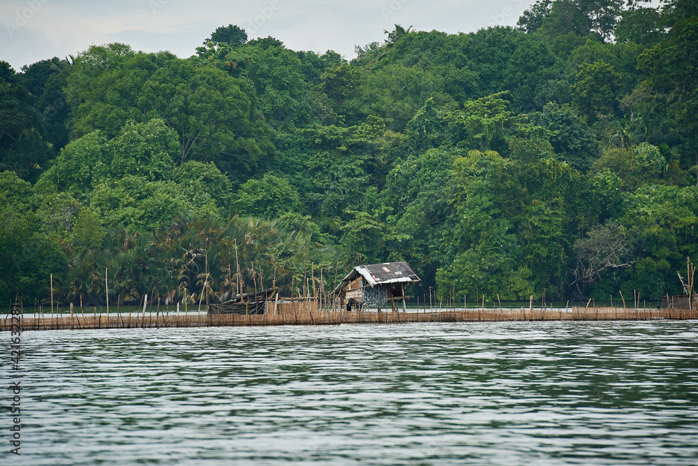 Poor aboriginal people's swamp hut Poor aboriginal people's swamp hut