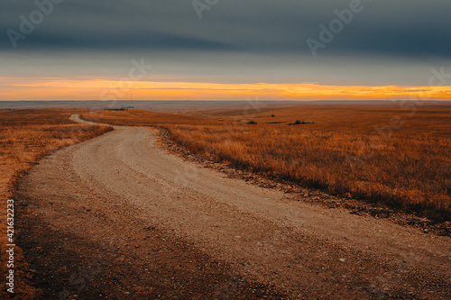 Empty dirt road in the prairie leading into the the horizon during sunset