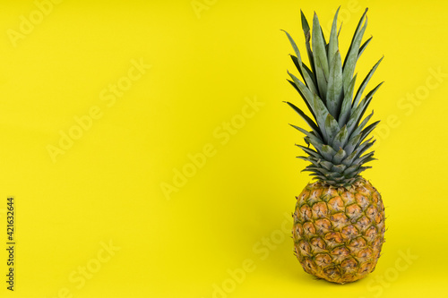 Pineapple fruit concept isolated on yellow background