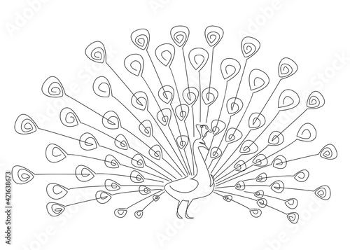 Beautiful peacock. Bird with a lush tail in a modern one line style. Solid line, outline for decor, posters, stickers, logo. Vector illustration.