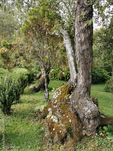 Wonderful life in the Sacred Valley of the Incas in Per  . Come to visit this view