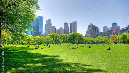 Great lawn in Central Park