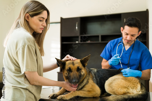 Caucasian woman caressing her dog lying at the pet clinic