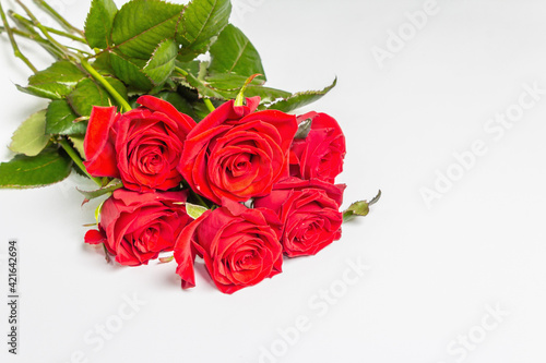 A bouquet of bright red roses isolated on white background
