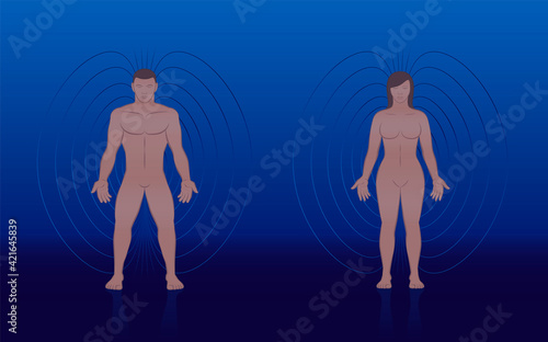 Human magnetic field of male and female body with lines and aura like energy pattern around a couple - for treatment in complementary medicine. Vector illustration on blue background.
