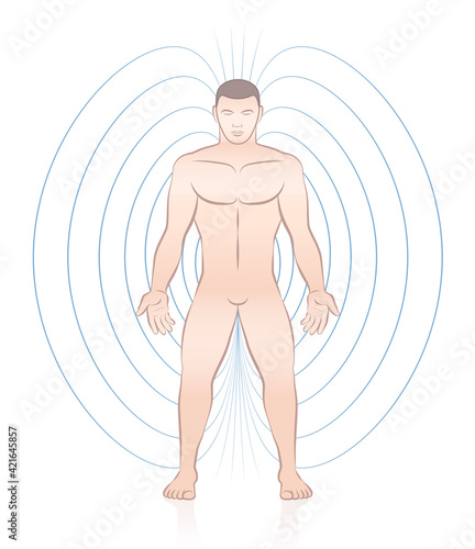 Human magnetic field. Male body with lines and energy pattern. Complementary medicine treatment. Vector illustration on white background.
