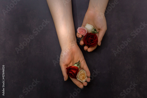 Close-up beautiful sophisticated female hands with pink and white flowers on gray background.Concept hand care, anti-wrinkles, anti-aging cream. Hand with neat natural nails holding roses in her hands