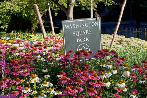 Flowers in Washington Square Park photo