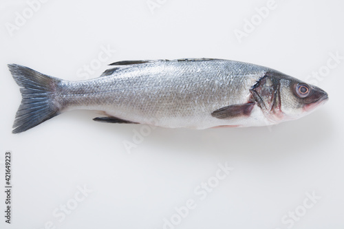 Whole branzini fish photo