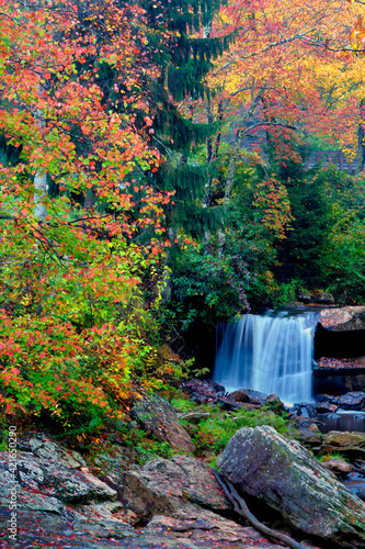 USA, West Virginia, Babcock State Park. Autumn scenic.