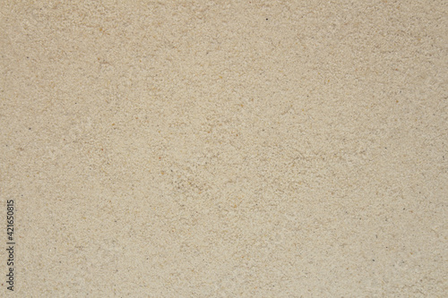 Sand background. Natural light beige or white sandy beach flat texture closeup with copy space.