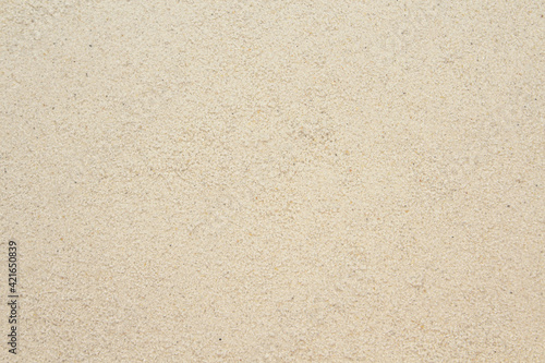 Wallpaper Mural Sand background. Natural light beige or white sandy beach flat texture closeup with copy space. Torontodigital.ca